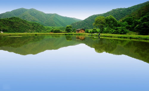 木門廠家金馬首，大力支持國家走環(huán)保可持續(xù)發(fā)展之路