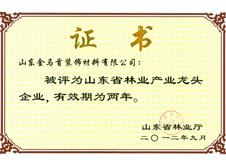 金馬首木門-山東省林業(yè)產(chǎn)業(yè)化龍頭企業(yè)