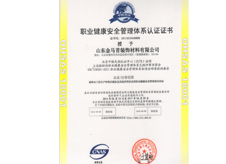 金馬首職業(yè)健康體系